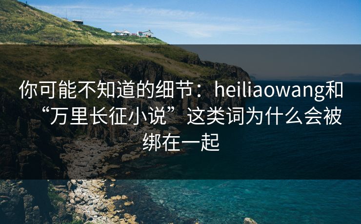 你可能不知道的细节：heiliaowang和“万里长征小说”这类词为什么会被绑在一起
