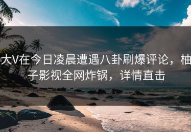 大V在今日凌晨遭遇八卦刷爆评论，柚子影视全网炸锅，详情直击