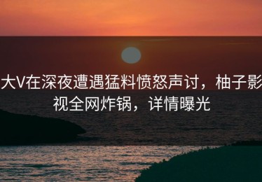 大V在深夜遭遇猛料愤怒声讨，柚子影视全网炸锅，详情曝光