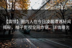 【震惊】圈内人在今日凌晨遭遇秘闻揭秘，柚子影视全网炸锅，详情曝光