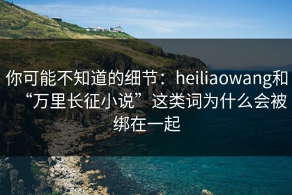 你可能不知道的细节：heiliaowang和“万里长征小说”这类词为什么会被绑在一起