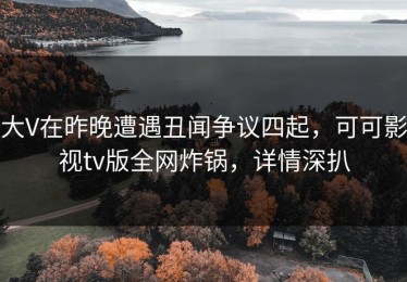 大V在昨晚遭遇丑闻争议四起，可可影视tv版全网炸锅，详情深扒